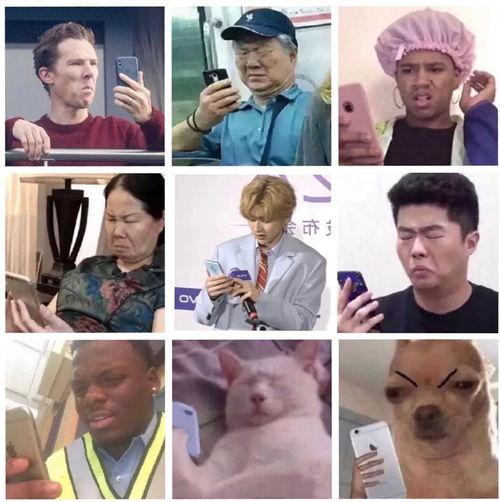 甜儿和露露在线观看